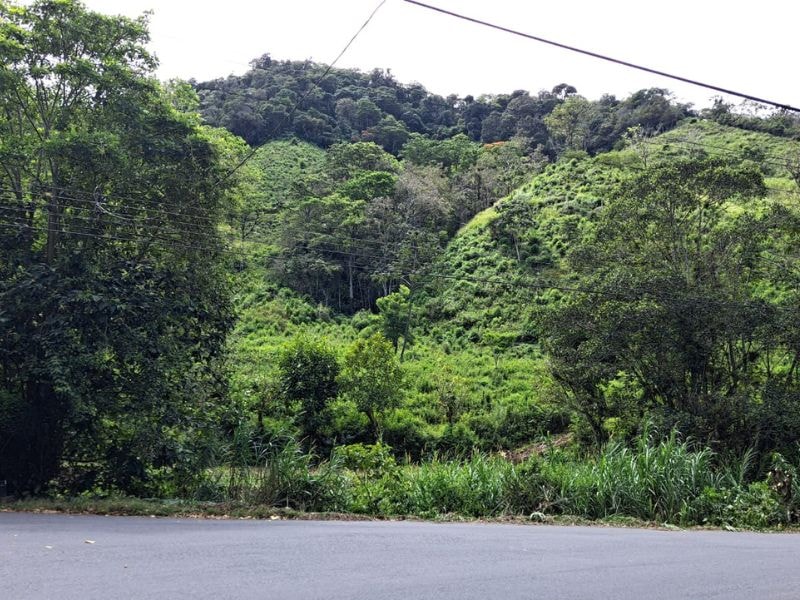 Finca para Desarrollo de Quintas