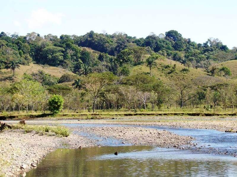 Finca Ganadera — Tulín, Pacífico Central