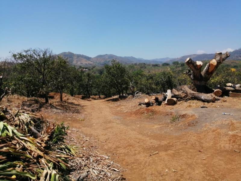 Terreno para Desarrollo Residencial — Naranjo