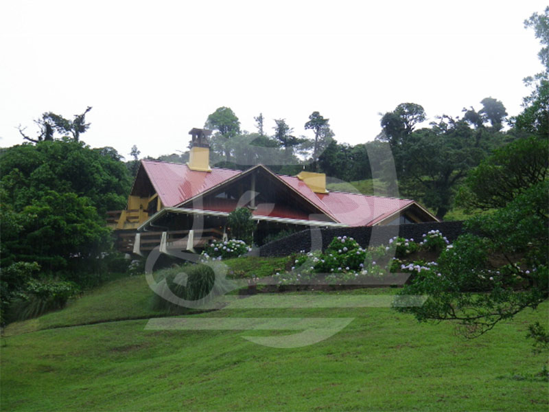 Finca cafetalera en Tarrazú